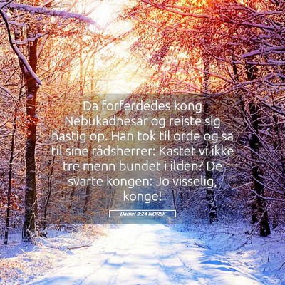 Picture 05 - Daniel 3:24 NORSK - Da forferdedes kong Nebukadnesar og reiste sig - Bible Verse Picture