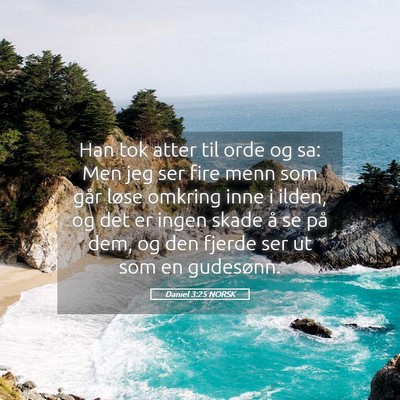 Picture 05 - Daniel 3:25 NORSK - Han tok atter til orde og sa: Men jeg ser fire - Bible Verse Picture
