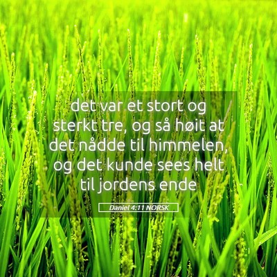 Picture 05 - Daniel 4:11 NORSK - det var et stort og sterkt tre, og så høit at - Bible Verse Picture