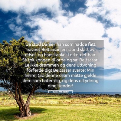 Picture 05 - Daniel 4:19 NORSK - Da stod Daniel, han som hadde fått navnet - Bible Verse Picture