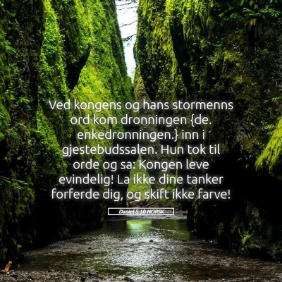 Picture 05 - Daniel 5:10 NORSK - Ved kongens og hans stormenns ord kom dronningen - Bible Verse Picture