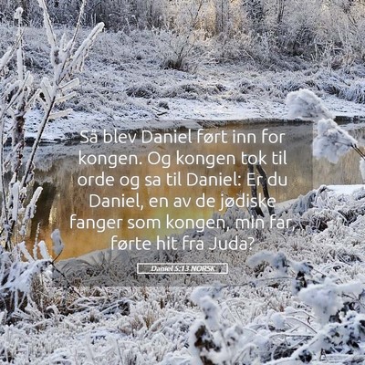 Picture 05 - Daniel 5:13 NORSK - Så blev Daniel ført inn for kongen. Og kongen - Bible Verse Picture