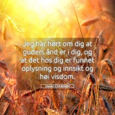 Picture 05 - Daniel 5:14 NORSK - Jeg har hørt om dig at guders ånd er i dig, og - Bible Verse Picture