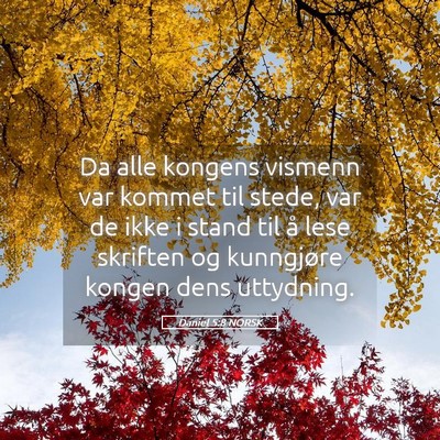 Picture 05 - Daniel 5:8 NORSK - Da alle kongens vismenn var kommet til stede, var - Bible Verse Picture