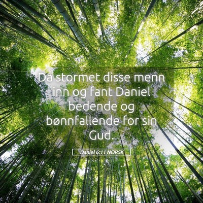 Picture 05 - Daniel 6:11 NORSK - Da stormet disse menn inn og fant Daniel bedende - Bible Verse Picture