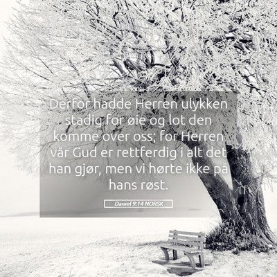 Picture 05 - Daniel 9:14 NORSK - Derfor hadde Herren ulykken stadig for øie og - Bible Verse Picture