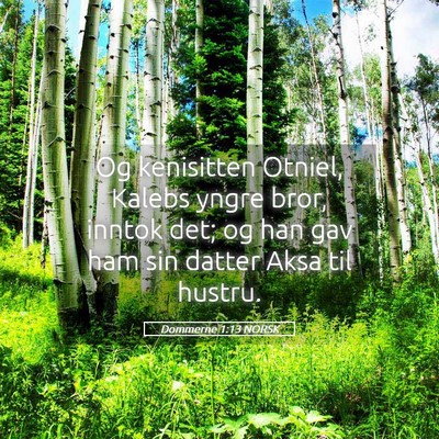 Picture 05 - Dommerne 1:13 NORSK - Og kenisitten Otniel, Kalebs yngre bror, inntok - Bible Verse Picture