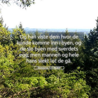 Picture 05 - Dommerne 1:25 NORSK - Og han viste dem hvor de kunde komme inn i byen, - Bible Verse Picture