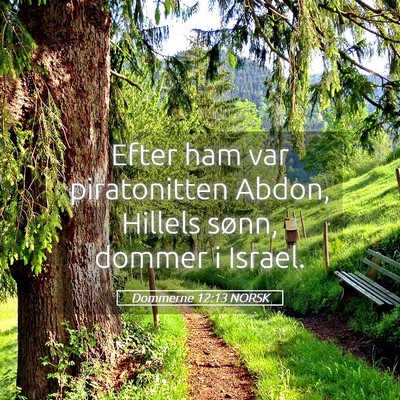 Picture 05 - Dommerne 12:13 NORSK - Efter ham var piratonitten Abdon, Hillels sønn, - Bible Verse Picture