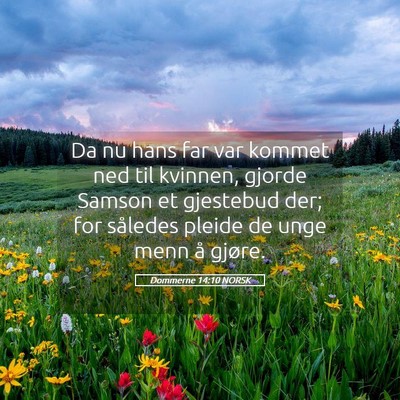 Picture 05 - Dommerne 14:10 NORSK - Da nu hans far var kommet ned til kvinnen, gjorde - Bible Verse Picture