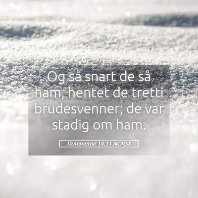 Picture 05 - Dommerne 14:11 NORSK - Og så snart de så ham, hentet de tretti - Bible Verse Picture
