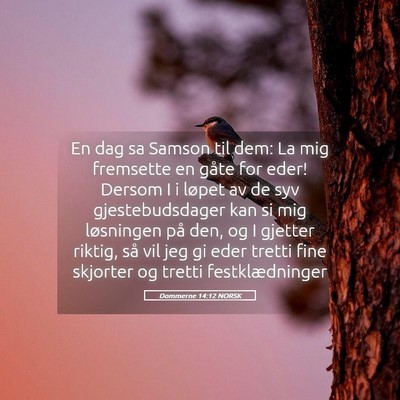 Picture 05 - Dommerne 14:12 NORSK - En dag sa Samson til dem: La mig fremsette en - Bible Verse Picture