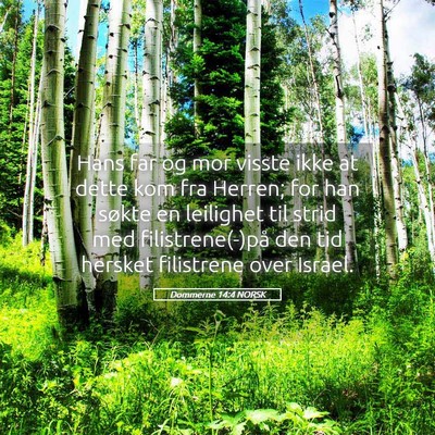 Picture 05 - Dommerne 14:4 NORSK - Hans far og mor visste ikke at dette kom fra - Bible Verse Picture