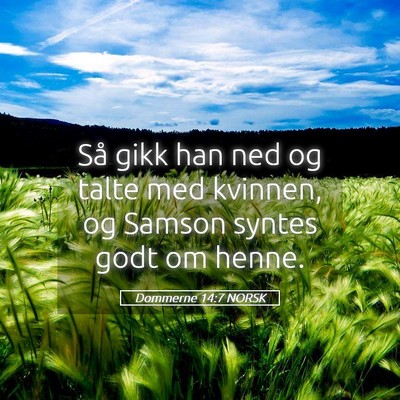 Picture 05 - Dommerne 14:7 NORSK - Så gikk han ned og talte med kvinnen, og Samson - Bible Verse Picture