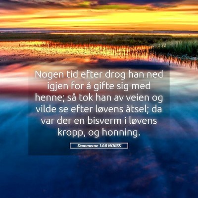 Picture 05 - Dommerne 14:8 NORSK - Nogen tid efter drog han ned igjen for å gifte - Bible Verse Picture