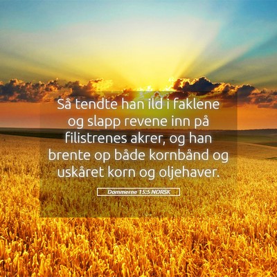 Picture 05 - Dommerne 15:5 NORSK - Så tendte han ild i faklene og slapp revene inn - Bible Verse Picture