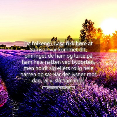 Picture 05 - Dommerne 16:2 NORSK - Da folkene i Gasa fikk høre at Samson var kommet - Bible Verse Picture