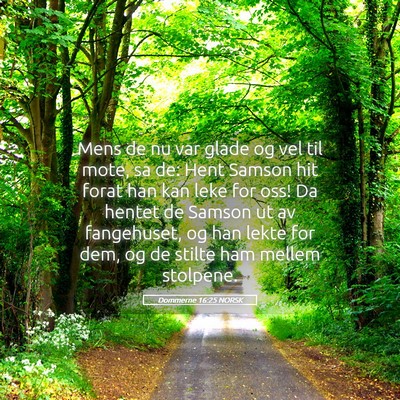 Picture 05 - Dommerne 16:25 NORSK - Mens de nu var glade og vel til mote, sa de: Hent - Bible Verse Picture
