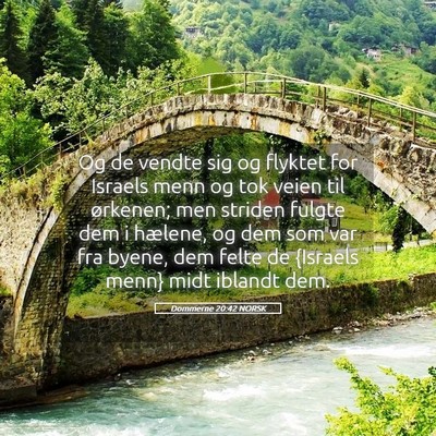 Picture 05 - Dommerne 20:42 NORSK - Og de vendte sig og flyktet for Israels menn og - Bible Verse Picture