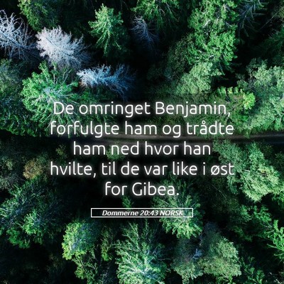 Picture 05 - Dommerne 20:43 NORSK - De omringet Benjamin, forfulgte ham og trådte - Bible Verse Picture