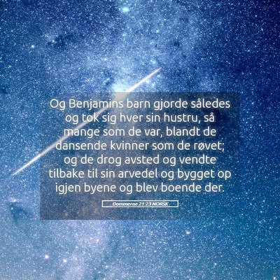Picture 05 - Dommerne 21:23 NORSK - Og Benjamins barn gjorde således og tok sig hver - Bible Verse Picture