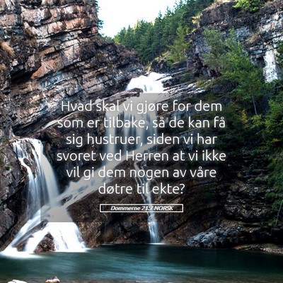 Picture 05 - Dommerne 21:7 NORSK - Hvad skal vi gjøre for dem som er tilbake, så - Bible Verse Picture