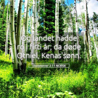 Picture 05 - Dommerne 3:11 NORSK - Og landet hadde ro i firti år; da døde Otniel, - Bible Verse Picture