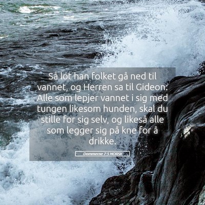 Picture 05 - Dommerne 7:5 NORSK - Så lot han folket gå ned til vannet, og Herren - Bible Verse Picture
