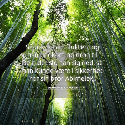 Picture 05 - Dommerne 9:21 NORSK - Så tok Jotam flukten, og han undkom og drog til - Bible Verse Picture