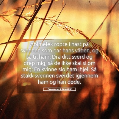 Picture 05 - Dommerne 9:54 NORSK - Abimelek ropte i hast på svennen som bar hans - Bible Verse Picture