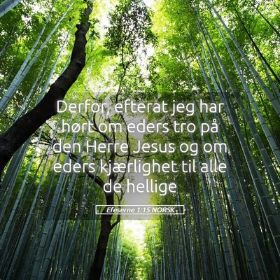 Picture 05 - Efeserne 1:15 NORSK - Derfor, efterat jeg har hørt om eders tro på - Bible Verse Picture
