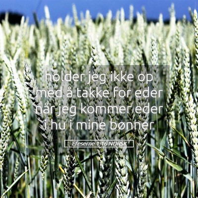 Picture 05 - Efeserne 1:16 NORSK - holder jeg ikke op med å takke for eder når jeg - Bible Verse Picture