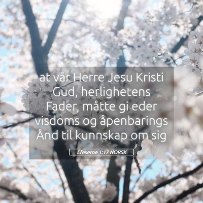 Picture 05 - Efeserne 1:17 NORSK - at vår Herre Jesu Kristi Gud, herlighetens - Bible Verse Picture
