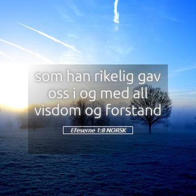 Picture 05 - Efeserne 1:8 NORSK - som han rikelig gav oss i og med all visdom og - Bible Verse Picture
