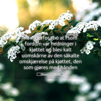 Picture 05 - Efeserne 2:11 NORSK - Kom derfor i hu at I som fordum var hedninger i - Bible Verse Picture