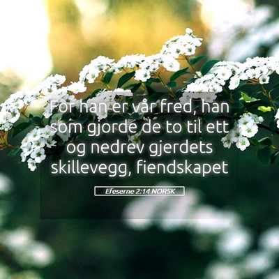 Picture 05 - Efeserne 2:14 NORSK - For han er vår fred, han som gjorde de to til - Bible Verse Picture