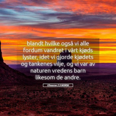 Picture 05 - Efeserne 2:3 NORSK - blandt hvilke også vi alle fordum vandret i - Bible Verse Picture
