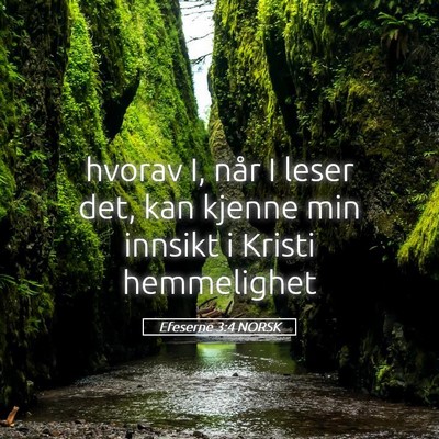 Picture 05 - Efeserne 3:4 NORSK - hvorav I, når I leser det, kan kjenne min - Bible Verse Picture