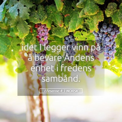Picture 05 - Efeserne 4:3 NORSK - idet I legger vinn på å bevare Åndens enhet i - Bible Verse Picture