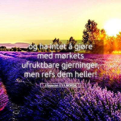 Picture 05 - Efeserne 5:11 NORSK - og ha intet å gjøre med mørkets ufruktbare - Bible Verse Picture