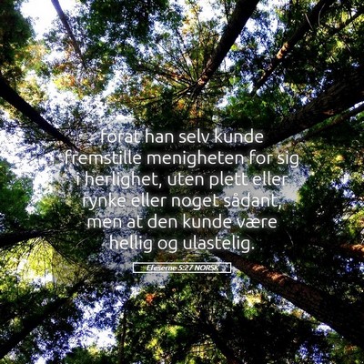 Picture 05 - Efeserne 5:27 NORSK - forat han selv kunde fremstille menigheten for - Bible Verse Picture