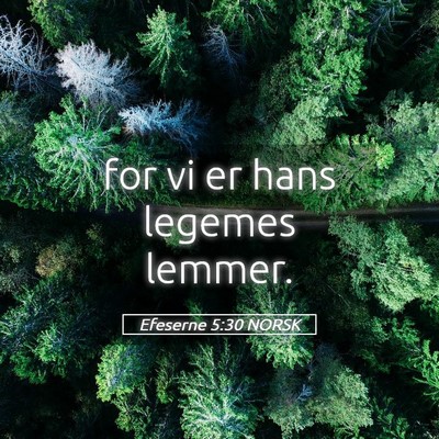 Picture 05 - Efeserne 5:30 NORSK - for vi er hans legemes - Bible Verse Picture