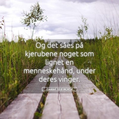 Picture 05 - Esekiel 10:8 NORSK - Og det såes på kjerubene noget som lignet en - Bible Verse Picture