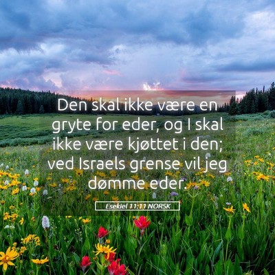 Picture 05 - Esekiel 11:11 NORSK - Den skal ikke være en gryte for eder, og I skal - Bible Verse Picture