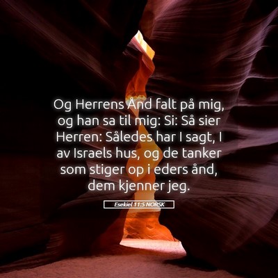 Picture 05 - Esekiel 11:5 NORSK - Og Herrens Ånd falt på mig, og han sa til mig: - Bible Verse Picture