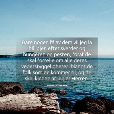 Picture 05 - Esekiel 12:16 NORSK - Bare nogen få av dem vil jeg la bli igjen efter - Bible Verse Picture