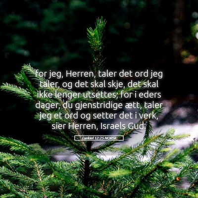Picture 05 - Esekiel 12:25 NORSK - for jeg, Herren, taler det ord jeg taler, og det - Bible Verse Picture