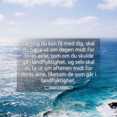Picture 05 - Esekiel 12:4 NORSK - De ting du kan få med dig, skal du bære ut om - Bible Verse Picture