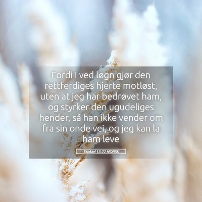 Picture 05 - Esekiel 13:22 NORSK - Fordi I ved løgn gjør den rettferdiges hjerte - Bible Verse Picture