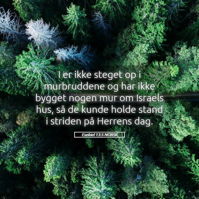 Picture 05 - Esekiel 13:5 NORSK - I er ikke steget op i murbruddene og har ikke - Bible Verse Picture